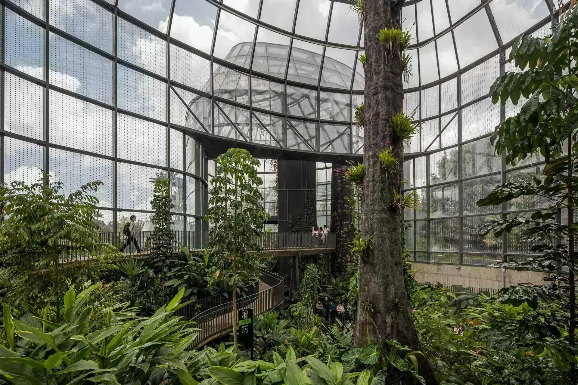 Perspectiva desde la laguna exterior que refleja los volúmenes arquitectónicos del Tropicario.